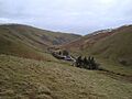 Batailshiel Haugh Farm - geograph.org.uk - 1144332