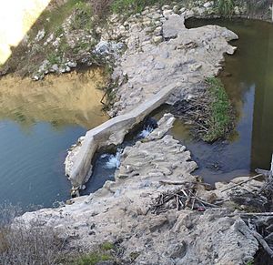 Beaver dam partially blown out at fish ladder at Jalama Weir below U. S. Highway 1 2014-04