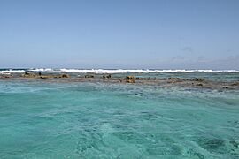 Belize Barrier Reef, Ambergris Caye, Belize
