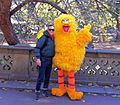 Big Bird costume Central Park New York City