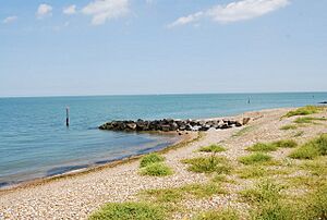 Brooksend Outfall - geograph.org.uk - 1471356