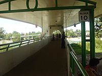 C-Train bridge-lower deck