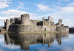 Caerphilly Castle south