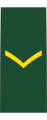 Canadian Army OR-3