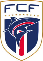 Shirt badge/Association crest