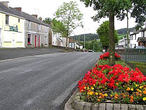 Cappagh, County Tyrone - geograph.org.uk - 239061
