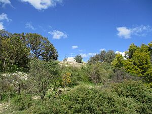 Chalk Hill Lookout, Medina, August 2019 01