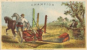 Champion Trade Card, 1875