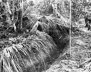 Coconut log bunker at Buna