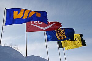 Coprorate flags at Settlers, Rails & Trails Inc. (Argyle,Manitoba, Canada)