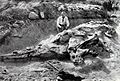 Corythosaurus excavation