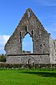 County Roscommon - Roscommon Abbey Friary - 20170929142327