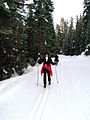 Cross-country-skiing-2-7