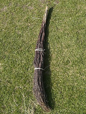 Czech broom