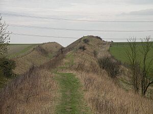 Devil's Dyke cuts the skyline - geograph.org.uk - 1181829