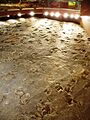 Dinosaur State Park (Rocky Hill, CT) - prints