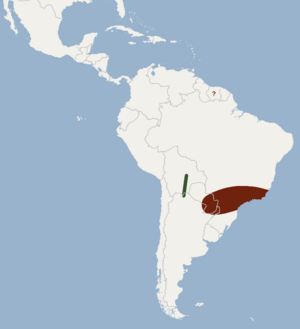 Distribution of Pygoderma bilabiatum.png