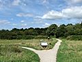 Ditchling Common Country Park - geograph.org.uk - 1446467