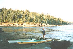 Dodd Narrows from Mudge Island (4651542399)