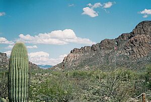 Double V Scout Ranch (Arizona)