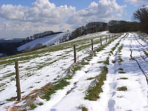 Downland, East Woodhay - geograph.org.uk - 762435
