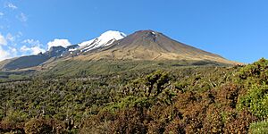 Egmont National Park, December 2015, New Zealand (42)