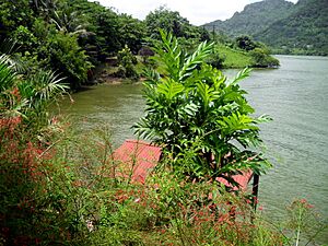 Embalse Dos Bocas de Utuado - panoramio