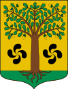Coat of arms of Ajangiz