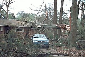 F0 tornado damage example