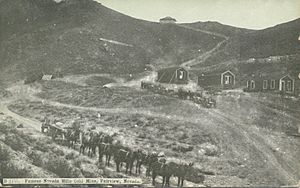 Famous Nevada Hills Gold Mine