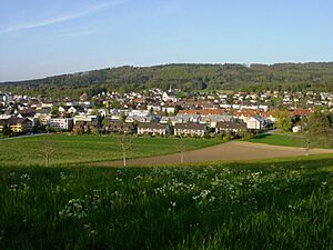 Fislisbach Boll