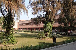 Front Lawn and College.