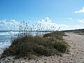 Ft Pierce FL Fort Pierce Inlet SP beach02