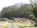 Geddington Chase SSSI 2