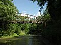 Half-chance bridge