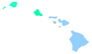 Hawaii racial and ethnic map