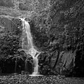 Hemlock Falls SMR Essex NJ
