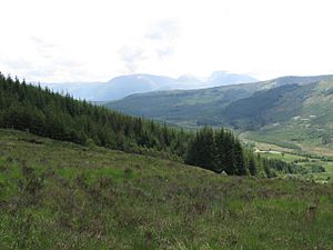Hillside, Forestry plantation and Lochaber mountains - geograph.org.uk - 834803