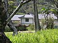 Honolulu-ClarenceHCooke-House