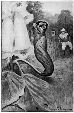 Illust by Oscar Wilson for In Search of El Dorado by Harry Collingwood (1915)-Page 111
