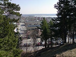 View of Karlskoga seen from the west in April 2008