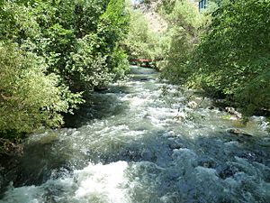 Kasakh-Ashtarak