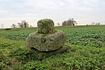Kenulph's stone, also called Kennulph's stone or St Kennulph's stone