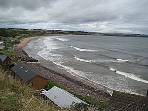 Lunan Bay from the south - geograph.org.uk - 1478044