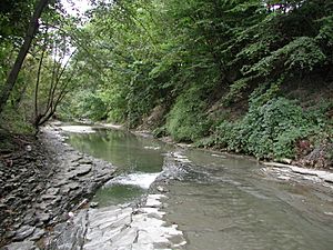 Mill Creek in City downstream from 38th
