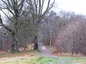 Mill Hill, Cuxton 5