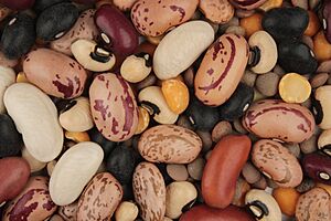 Mixture of beans (small red, cannellini, pinto, roman, red kidney, black), peas (blackeye, yellow split), and pardina lentils 10