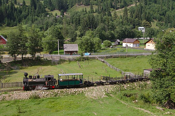 Moldovita forest railway 2013-07-12 05