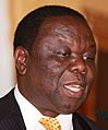 Morgan Tsvangirai Oslo 2009 B