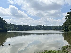 Murphey Candler Lake 2024